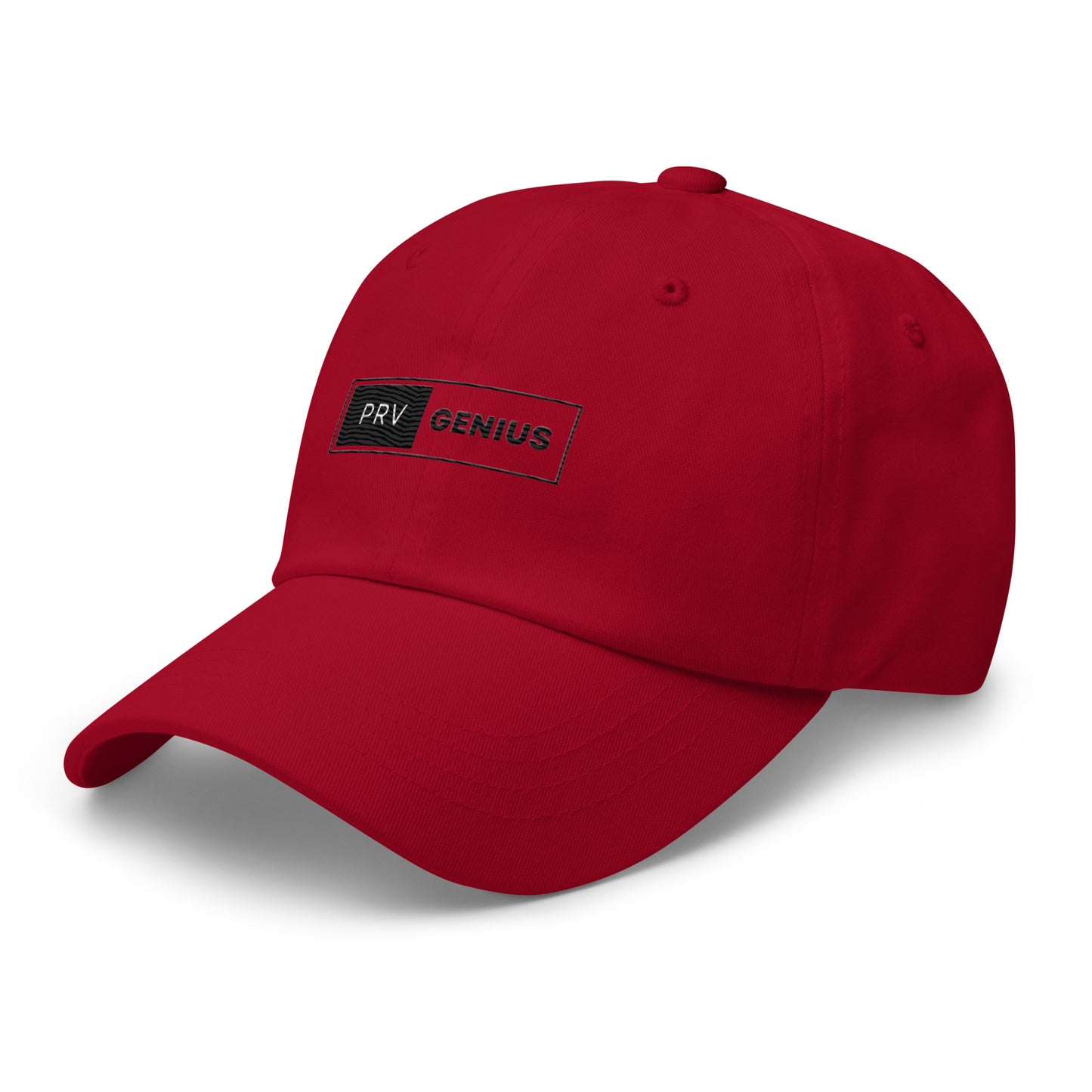 Prv Genius logo hat